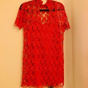 Zara lace dress